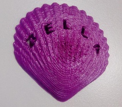 sea shell my daughter toys bella 3d print model - Mito3D