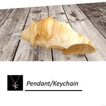 shell pendant fashion bling color keychain necklace 3d print model - Mito3D