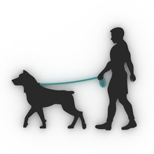 promenade de chien jour 5 22 février art le la marche à pied 3d print model - Mito3D