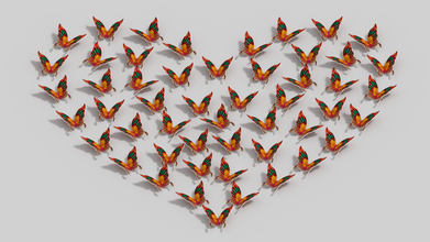 wall decor - butterfly 1 art 3d da parete di design farfalla colore modello decorazione della 3d print model - Mito3D