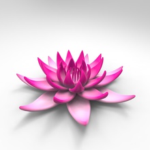 water lily 20 mix gradient leaves plants 3d print model - Mito3D