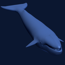monde de la baleine jour bleue art le mois février l'océan 3d print model - Mito3D