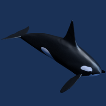 monde de la baleine jour l'orque art le mois février l'océan 3d print model - Mito3D