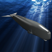 mundo baleia dia de esperma a arte fevereiro oceano 3d print model - Mito3D
