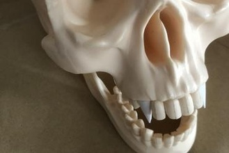 Agostini Arthur croc art drôle os crâne vampire vampyr nosferatu 3d print model - Mito3D