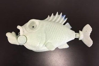animatronic little bit fish education 3d print model - Mito3D