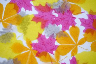 folhas de outono a arte elm castanha-da-índia maple carvalho translucents faberdashery 3d print model - Mito3D