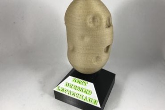best dressed leprechaun trophy contest 3d print model - Mito3D