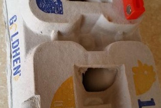 hervida su casa la cocción huevos de huevo cartón cajas hervir 3d print model - Mito3D