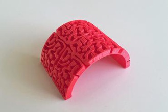 brain curve other 3d print model - Mito3D