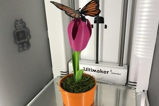 farfalla animata giocattoli automi 3d print model - Mito3D