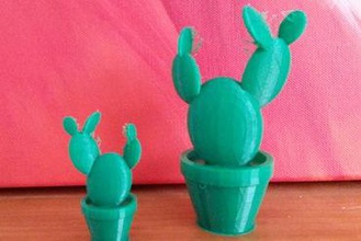 cactus 2 la vostra casa piante 3d print model - Mito3D