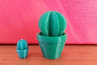 los cactus su casa de la planta 3d print model - Mito3D