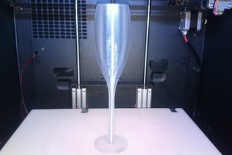 taça de champanhe sua casa óculos vidro animal estimação 3d print model - Mito3D