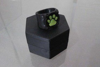 chat noir's ring fashion cosplay prop miraculous ladybug dual extrusion 3d print model - Mito3D