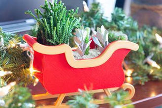 navidad en trineo decoración de la maceta su casa las plantas suculentas suculentas-maceta feliz interior los cactus 3d print model - Mito3D