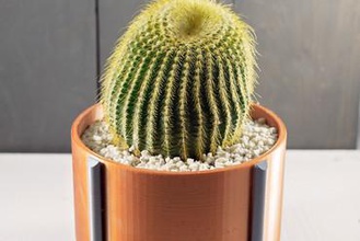 bol en cuivre planteur votre maison la jardinière les plantes grasses cactus planteurs succulente succulent-planteur plantermodern d'intérieur de 3d print model - Mito3D