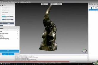 cr scan 01 scansione elefante arte 3d print model - Mito3D