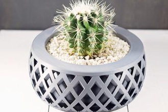 criss cross maceta su casa las plantas suculentas de interior la macetas los cactus indoorgarden 3d print model - Mito3D