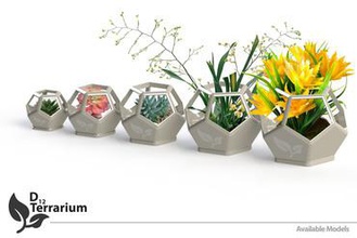 d12 terrário sua casa o vaso de flor 3d print model - Mito3D