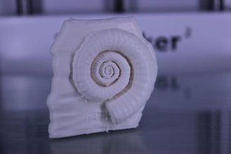 fossile l'istruzione ultimaker 2 fossili 3d print model - Mito3D