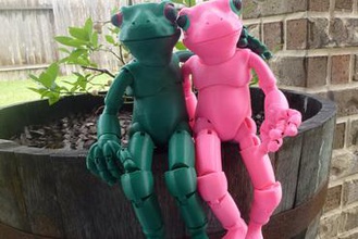 froggy 3d printed ball-jointed frog doll toys articulated 3d print model - Mito3D