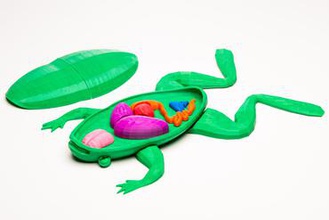 kurbağa eğitim bilim 3d print model - Mito3D