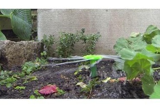 jardim sprinklers wip sua casa sprinkler água jardinagem colorfabb xt de flores 3d print model - Mito3D