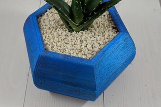 hexagon ekici ev kapalı saksı saksılar succulents etli 3d print model - Mito3D