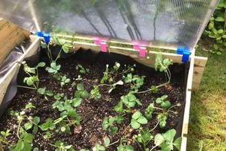 bisagra de transformar el cuadrado la maceta en invernadero plantas su casa jardín 3d print model - Mito3D