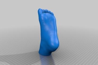 humano pé geocache geocaching 3d print model - Mito3D