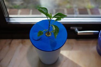 ikea papaja hydropot Ihre home v xer Hydrokultur 3d print model - Mito3D