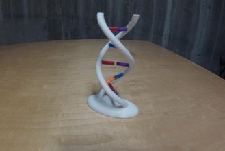 interaktive dna-Modell Bildung dna Doppel-helix helix Doppel-Lüfter aidan leitch 3d print model - Mito3D