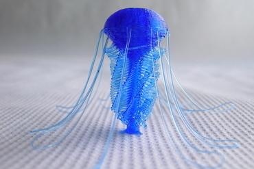 Medusa drooloops personalizable 3D impresora partes mejoras drooloop mar agua animales gelatinas medusa 3d print model - Mito3D