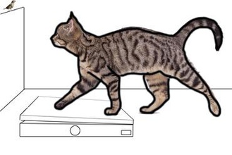 kitty tons gadget ultimakerdesignengine designenginechallenge-week1 3d print model - Mito3D