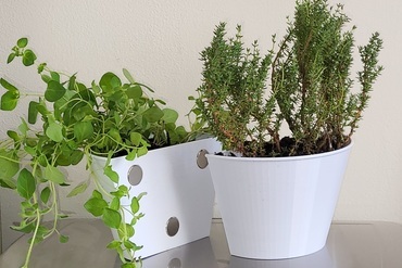 vivo geladeira magnético ímãs vaso flores verticalgarden interior plantador 3D print model - Mito3D