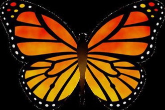 monarch multi-part magnet art butterfly multicolour fridge 3d print model - Mito3D
