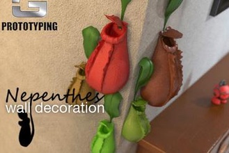 nepenthes sla 3dprinting decorazione 3d print model - Mito3D