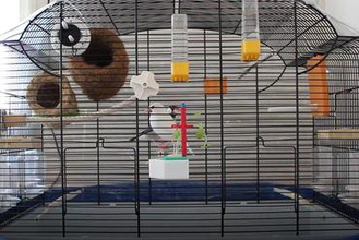 dernière version simple de culture hydroponique cage l'adaptateur maker diy à oiseaux la 3d print model - Mito3D