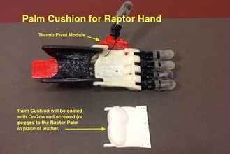 palm amortiguador raptor mano fabricante de bricolaje prótesis habilitar 3d print model - Mito3D