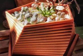 pentapot your home planter plants pot topf pflanzen cactus 3d print model - Mito3D