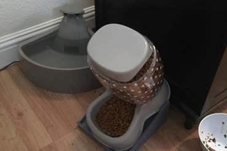 gato de estimação comida cão rampa sua casa cat 3d print model - Mito3D