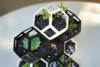 plantygon - modular geometric stacking planter your home succulent garden cactus cacti polygon polygonal octahedron tessellation interlocking gardening indoor outdoor fusion 360 honeycomb 3d print model - Mito3D