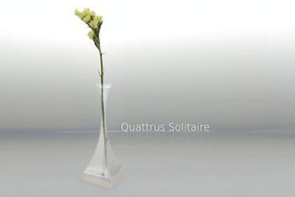quattrus solitaire Kunst vase Blumen-vase Blume 3d print model - Mito3D