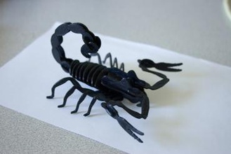 scorpion i giocattoli 3d print model - Mito3D
