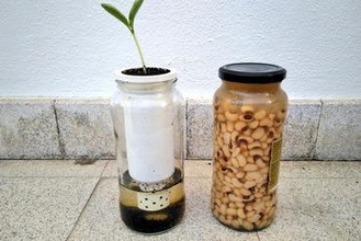selbst die Bewässerung vase Pflanzer Ihre home Glas recicling 3d print model - Mito3D
