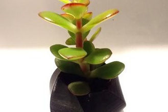 küçük basit ekici ev freecad prusa slic3r dekorasyon bitkiler pot 3d print model - Mito3D