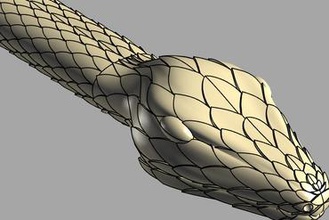 snake other 3d print model - Mito3D