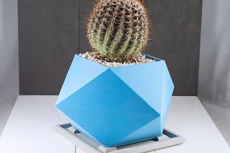 spikey fioriera la vostra casa piante grasse succulente succulente-fioriera coperta fioriere plantermodern cactus indoor indoorgardening all'interno impianto di titolare pianta d'appartamento 3d print model - Mito3D