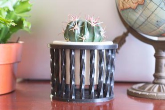 spiral planter your home succulents succulent succulent-planter indoor planters indoors cactus cacti 3d print model - Mito3D